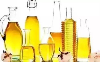 這四種平民菜最適合冬補(bǔ) 快吃起來